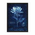 Botanical Blueprint Lotus Framed Wall Art