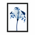 Indigo Blue Botanical Flower Framed Wall Art