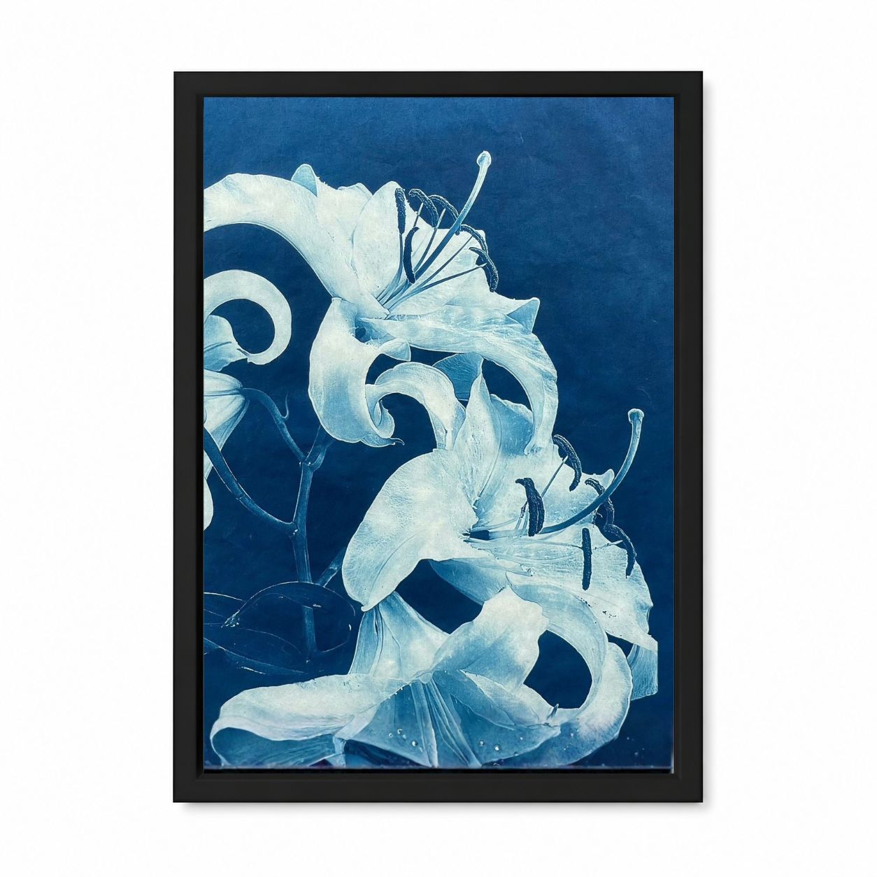 Blue Lily Botanical Framed Wall Art